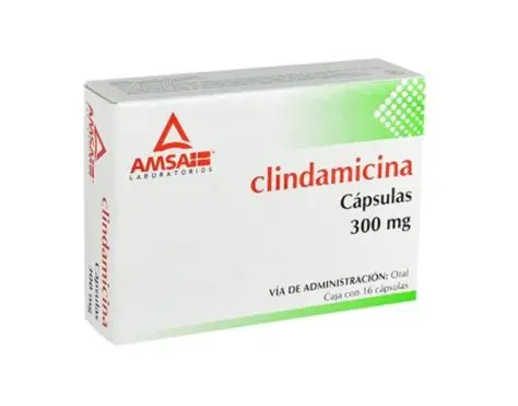 Clindamicina 300 Mg Caps 16